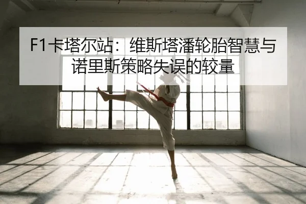 ka-ta-er-zhan-wei-si-ta-pan-lun-tai-zhi-hui-yu-nuo-li-si-ce-lve-shi-wu-de-jiao-liang-2-147.jpg