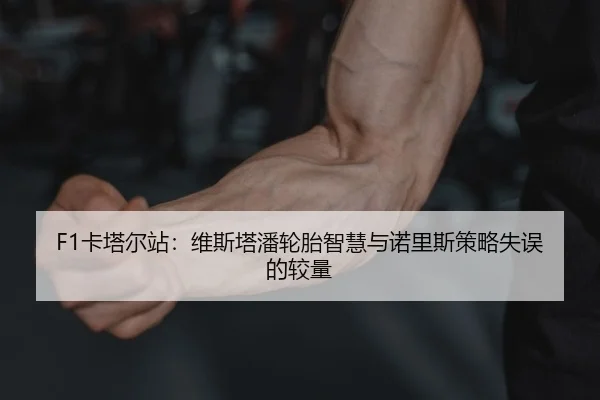 F1卡塔尔站：维斯塔潘轮胎智慧与诺里斯策略失误的较量